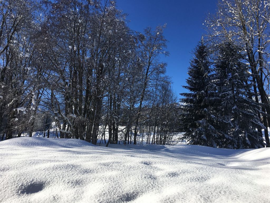 appartement 2 pièces en vente à MEGEVE (74120)