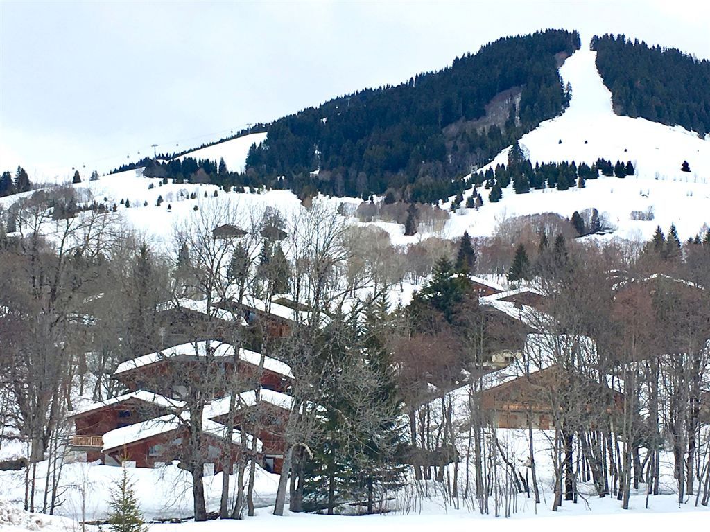 apartment 2 rooms for sale , MEGEVE (74120)